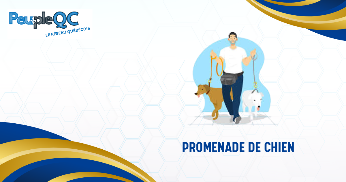 Promenade de chien - Service professionnel au Québec
