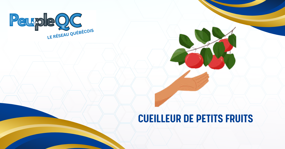 Cueilleur de petits fruits