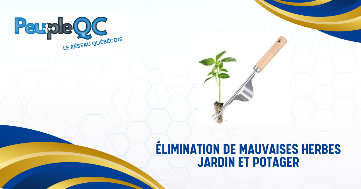 Élimination de mauvaises herbes jardin et potager