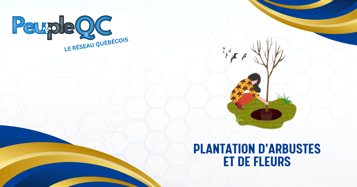 Plantation d'arbustes et de fleurs