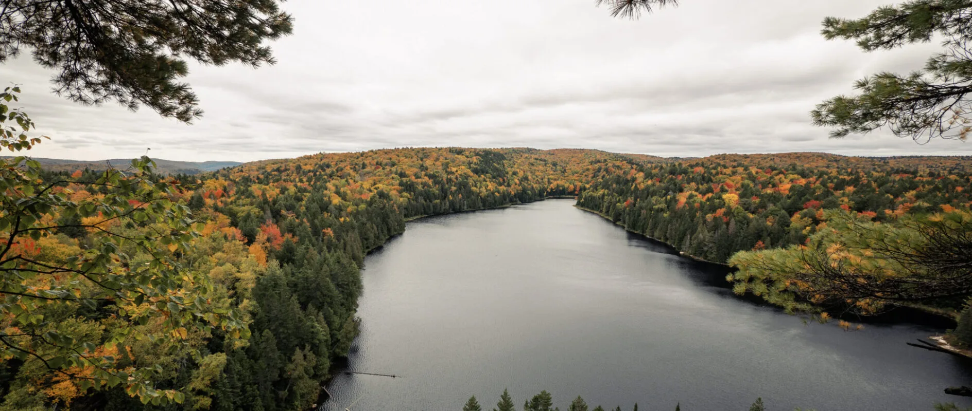 Couverture de Parlons Mauricie