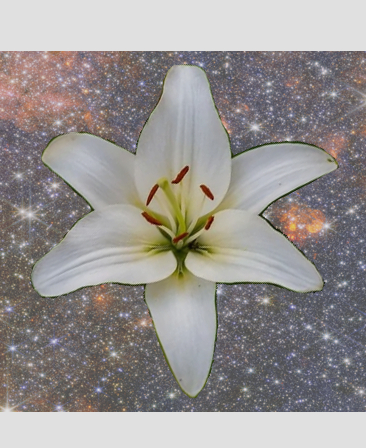 Avatar de Ignorantia excusat