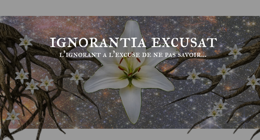 Couverture de Ignorantia excusat